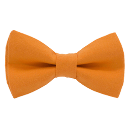 Noeud papillon uni orange "Amsterdam"