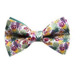 Noeud papillon Liberty "Ibiza Berry" vert