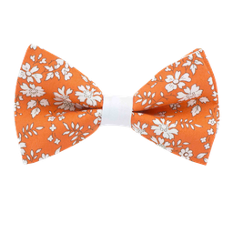 Noeud papillon Liberty "Capel" orange