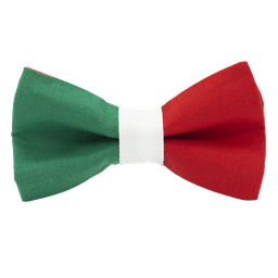 Noeud papillon "Forza Italia" drapeau italien