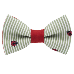Noeud papillon "Bugs & Stripes" coccinelles & rayures blanches & kaki