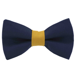 Noeud papillon uni bleu "Paris" bague moutarde