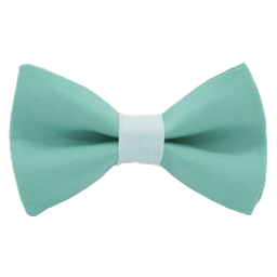 Noeud papillon uni turquoise "Punta Cana" bague bleu clair