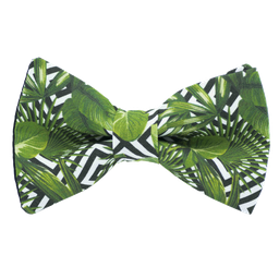 Noeud papillon "Jungle Zebra" feuilles vertes et formes géométriques noires